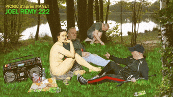 MANET picnic.mp4