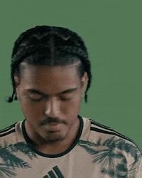 Mls Portland GIF by Timbers
