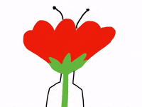 For You Hello GIF by Barbara Pozzi