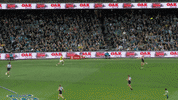 Mark Afl GIF by Port Adelaide FC