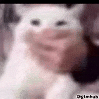 Cat No Comment GIF