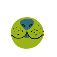adivaap nose bulafabula Sticker