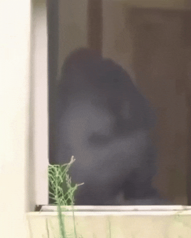 Spin Whatever GIF by Respective