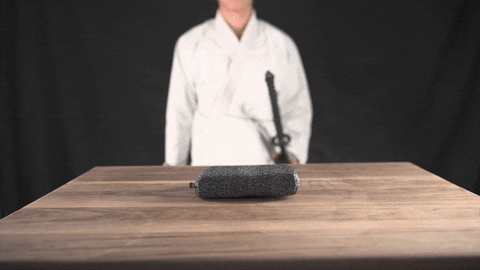 bradgrillrescue giphyupload GIF