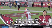 Pray Arizona Cardinals GIF by NFL