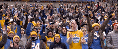 Happy College Football GIF by Pitt Panthers