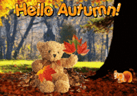 Trick Or Treat Halloween GIF