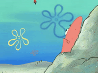 season 6 GIF by SpongeBob SquarePants