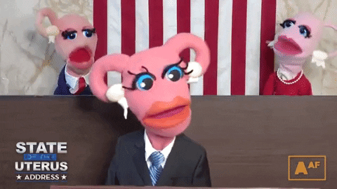 Abortionaf GIF by Abortion Access Front