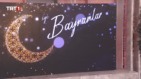 19 Mayıs Celebration GIF by TRT