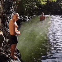 South Auckland Manu GIF
