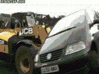 uk get seor illegal GIF