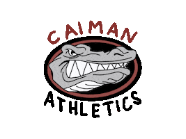 Red And Black Football Sticker