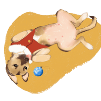 athaisrangel dog natal roupa Sticker