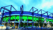 germany football GIF