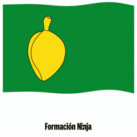 Flag Spain GIF by Formación Ninja