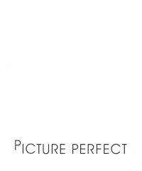 Picture Perfect Selfie Sticker by MineTan Body Skin