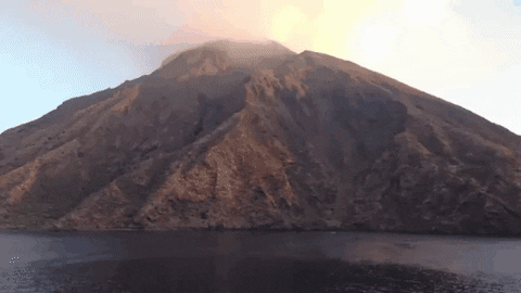 GIF by Giffffr
