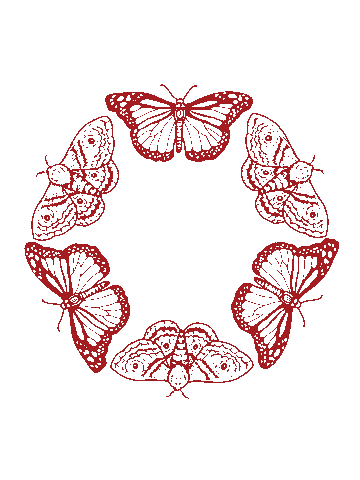 SaintSoria butterfly moth redmoth saintsoria Sticker