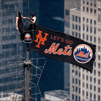 New York Mets GIF