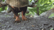 dog dinosaur GIF