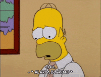 homer simpson episode 3 GIF