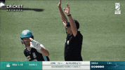cricketcomau cricket bbl six signal GIF