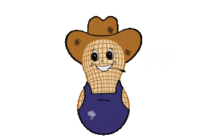 texas cowboy Sticker by ALL Good Peanut Co