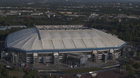 Veltins Arena Football GIF by FC Schalke 04