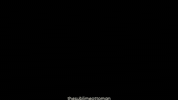Fatih Sultan Mehmet Ottoman GIF
