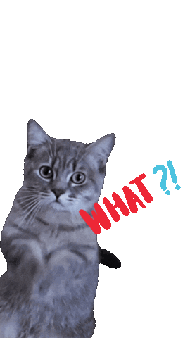 Cats Wow Sticker by Carlo Piccinno