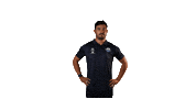 Scp07 Solis Sticker by SC Paderborn 07