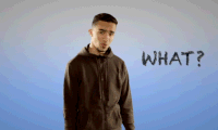 what GIF by MIC LOWRY