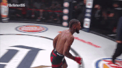 GIF by Bellator