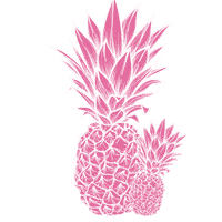 Aloe Vera Orange Sticker by Elfy Naturals