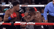 toprank fight boxing fighting espn GIF