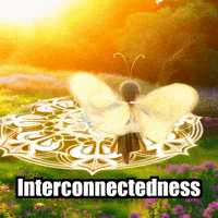Mandala Wisdom GIF by BuddhaFlyJourney