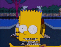 bart simpson GIF