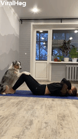 Pup Works Out with Its Person