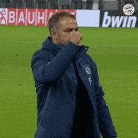 Game Football GIF by FC Bayern Munich
