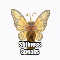 Peace Wisdom GIF by BuddhaFlyJourney