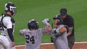 Celebrate Major League Baseball GIF by MLB