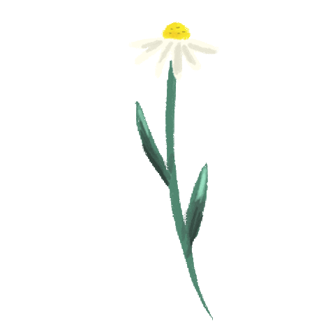 Virtual Bouquet Sticker by Hello Flowers！