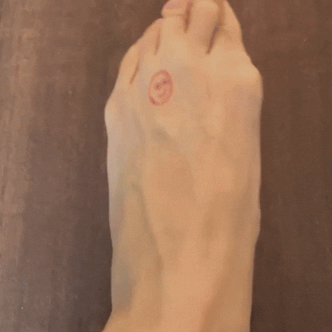nabavkica giphyupload GIF