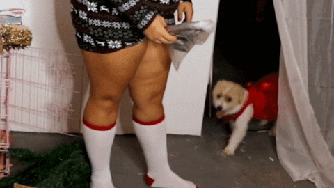 Feliz Navidad Dog GIF