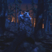 Lets Go GIF by ENSI
