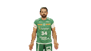 Team Handball Sticker by SCDHFK