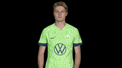 Check This Out Look Here GIF by VfL Wolfsburg