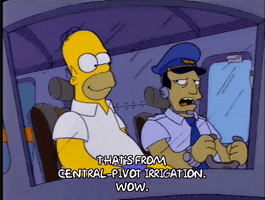 happy homer simpson GIF
