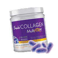Kolajen Multiform Sticker by Suda Collagen
